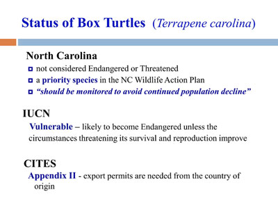 The Status of Box Turtles